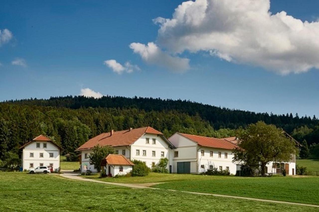 瓦尔德基兴Der Breinhof - Euer Urlaubsbauernhof公寓 外观 照片